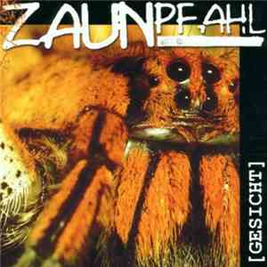 Zaunpfahl - Gesicht download flac
