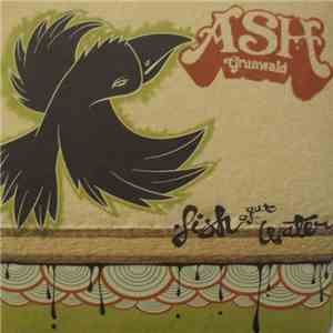 Ash Grunwald - Fish Out Of Water download flac
