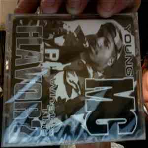 Young MC - What's The Flavor? download flac