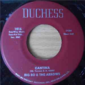 Big Bo & The Arrows - It Keeps Rainin' / Cantina download flac