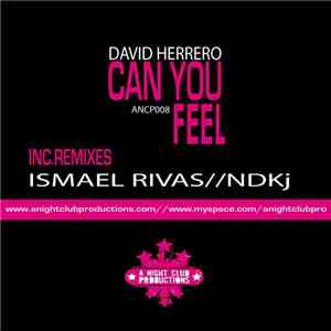 David Herrero - Can You Feel download flac