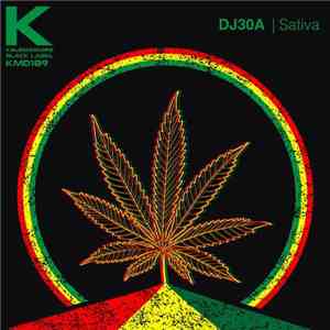 DJ30A - Sativa download flac