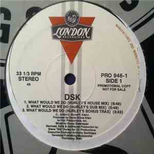 DSK - What Would We Do download flac