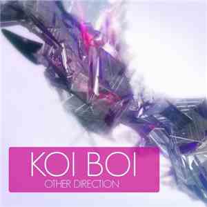 Koi Boi - Other Direction download flac