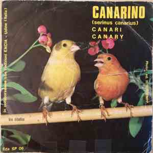 No Artist - Canarino (Serinus Canarius) download flac