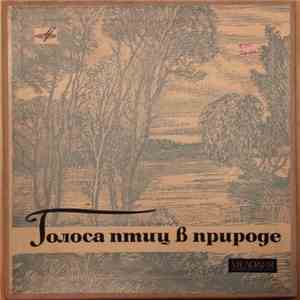 No Artist - Голоса Птиц В Природе download flac