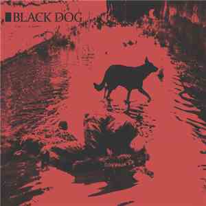 alone. & Bittertv - Black Dog download flac