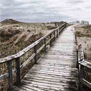 From Oceans To Autumn - Equanimity download flac