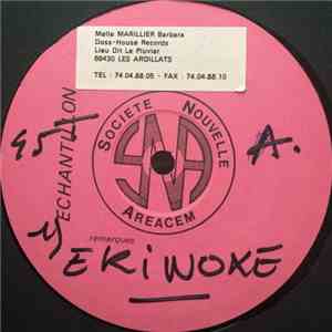 Goa Experience - Ekinoxe / Ethnic Modul download flac