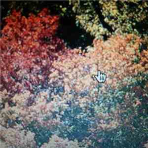 Marie Dior - Antitheist download flac