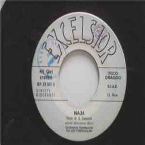 Orchestra Spettacolo Tullio Freddolini - Naja download flac