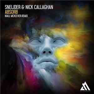 Sneijder & Nick Callaghan - Absorb (Niall McKeever Remix) download flac