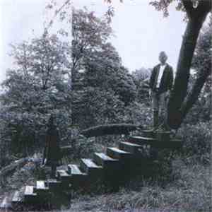Timber Timbre - Demon Host download flac