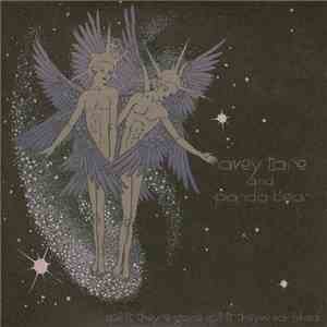 Avey Tare And Panda Bear - Spirit They're Gone Spirit They've Vanished download flac