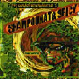 Shampoohat & Spicy  - We Can Fight Every Time download flac