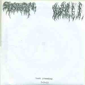 Spectral Voice / Blood Incantation - Spectral Voice / Blood Incantation download flac
