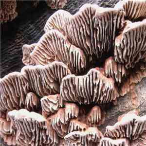 Various - Expedition_1 download flac