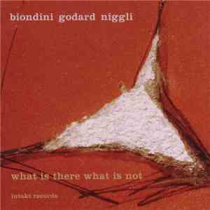 Biondini, Godard, Niggli - What Is There What Is Not FLAC album