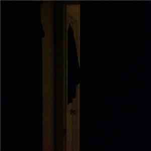 Coppice Halifax - Night's Drunken Splendour download flac