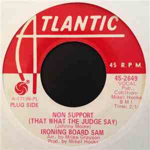 Ironing Board Sam - Non Support (That What The Judge Say) download flac