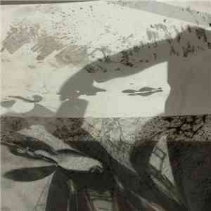 Ángela Tröndle & Pippo Corvino - The Parting Of The Ways download flac