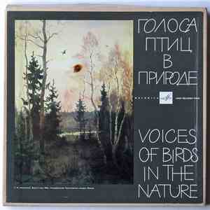No Artist - Voices Of Birds In The Nature download flac