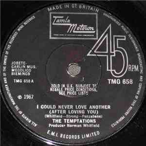 The Temptations - I Could Never Love Another (After Loving You) download flac