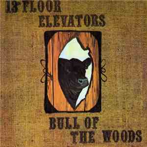 13th Floor Elevators - Bull Of The Woods download flac