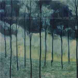 Camera Obscura - Desire Lines download flac