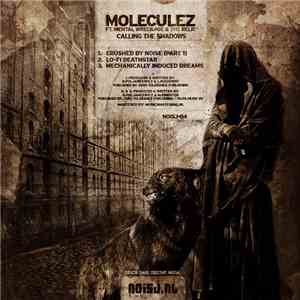 Moleculez ft. Mental Wreckage & The Relic - Calling The Shadows FLAC album
