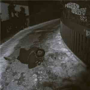 Morning Harvey - Don't Try It download flac