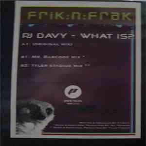 PJ Davy - What Is Happiness? download flac