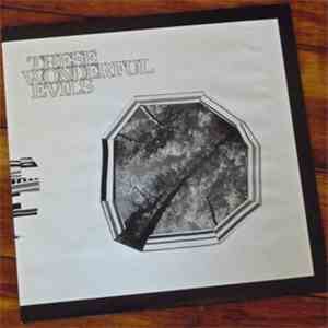 These Wonderful Evils - Little Church download flac
