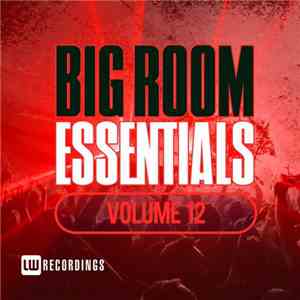Various - Big Room Essentials Volume 12 download flac