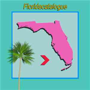 Vcr-Classique - Floridacatalogue download flac