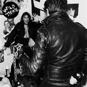 Wild Thing  - Age Difference download flac