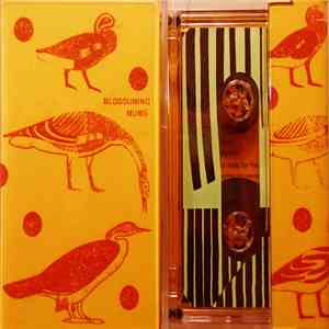 Blossoming Mums - Dithering Mornings download flac