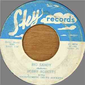 Bobby Roberts  With Highpockets' Delta Rockets - Big Sandy download flac