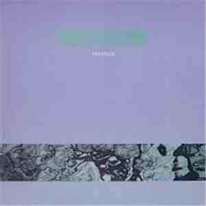 Celebrate The Nun - Patience download flac