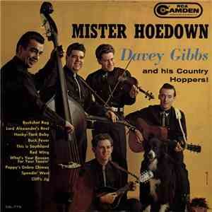 Davey Gibbs And His Country Hoppers - Mr. Hoedown download flac