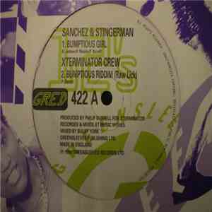 Sanchez & Stingerman - Bumptious Girl download flac