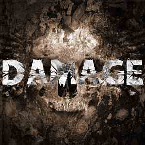 The Sinner  - Damage download flac