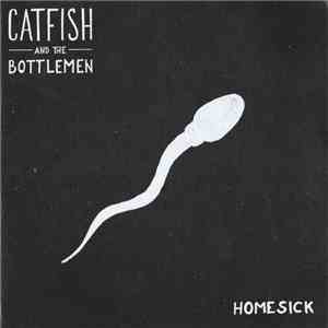 Catfish And The Bottlemen - Homesick download flac