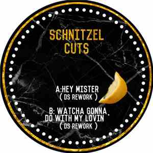 DS  - Hey Mister / Watcha Gonna Do With My Lovin download flac