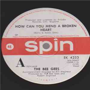 The Bee Gees - How Can You Mend A Broken Heart download flac
