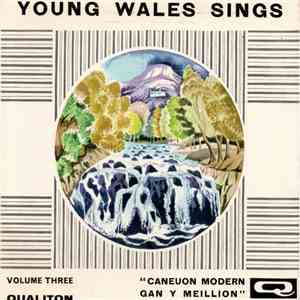 Y Meillion - Young Wales Sings Volume 3 download flac
