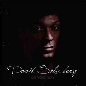 David Salzberg - On Your Way download flac