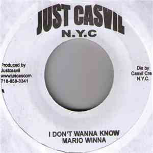 Mario Winna / Alicia Keys - I Don't Wanna Know / Remix download flac