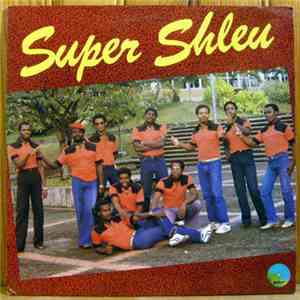 Super Shleu - Jeune Garçon download flac