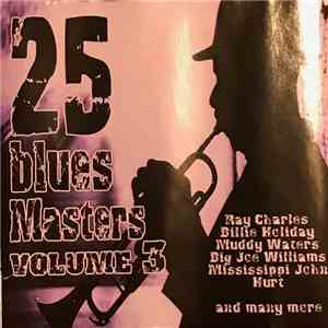 Various - 25 Blues Masters Volume 3 download flac